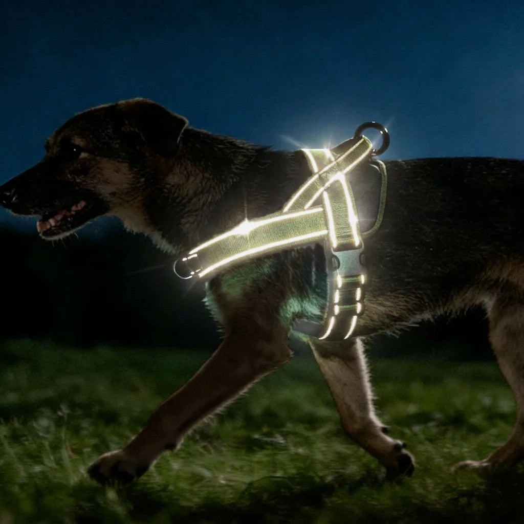 No Pull Dog Harness Large Breed Adjustable Reflective Padded Vest