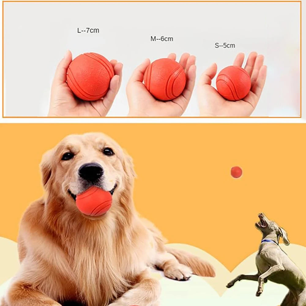 Dog Toy Ball – Rubber Training Ball for Outdoor Play