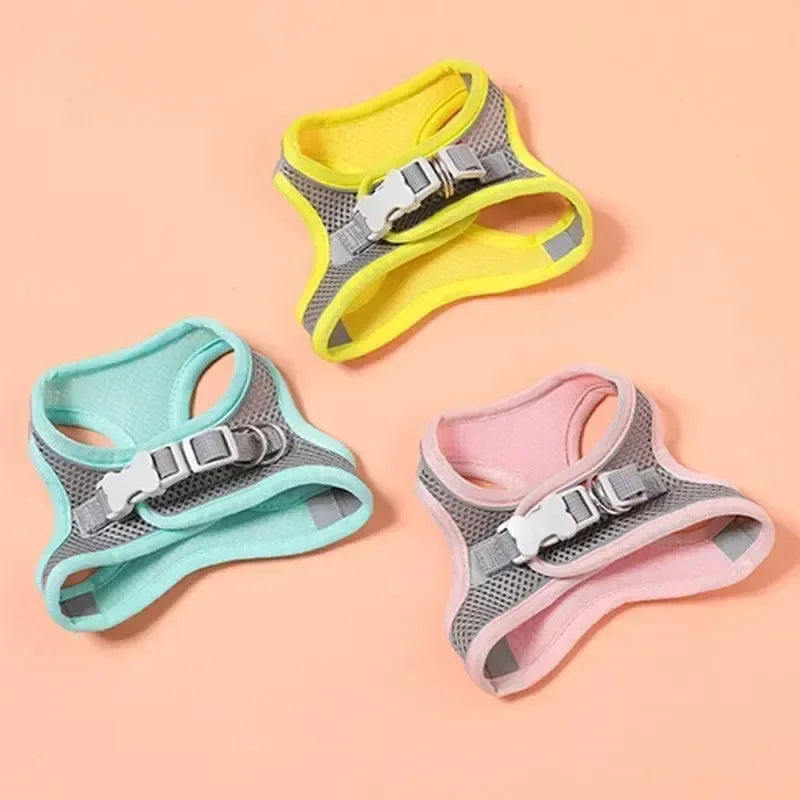 A comfortable, adjustable harness with reflective detailing for everyday pet walks.