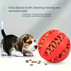 Dog Treat Dispensing Toy, Interactive Rubber Chew Ball