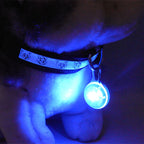 LED Dog Collar Light – Colorful Flashing Pet Safety Light