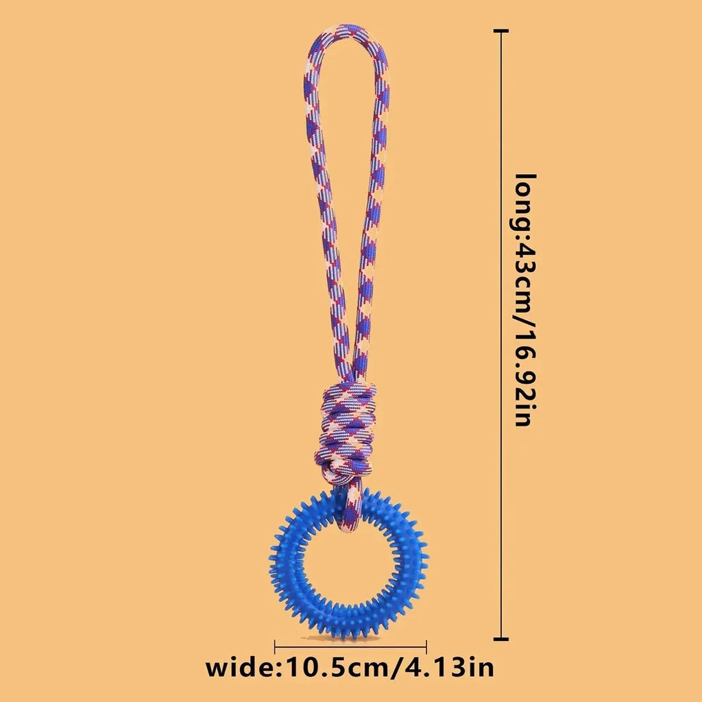 Dog Chew Toys – Durable Rubber Dental Toy for Dogs