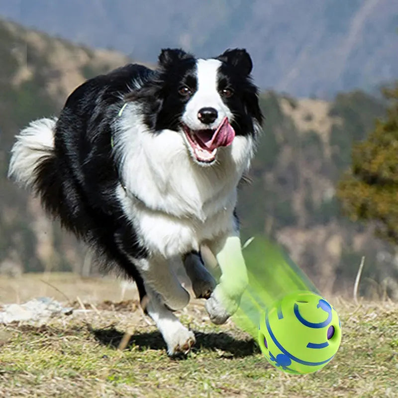 Interactive Dog Ball – Rolling Giggle Sound Toy