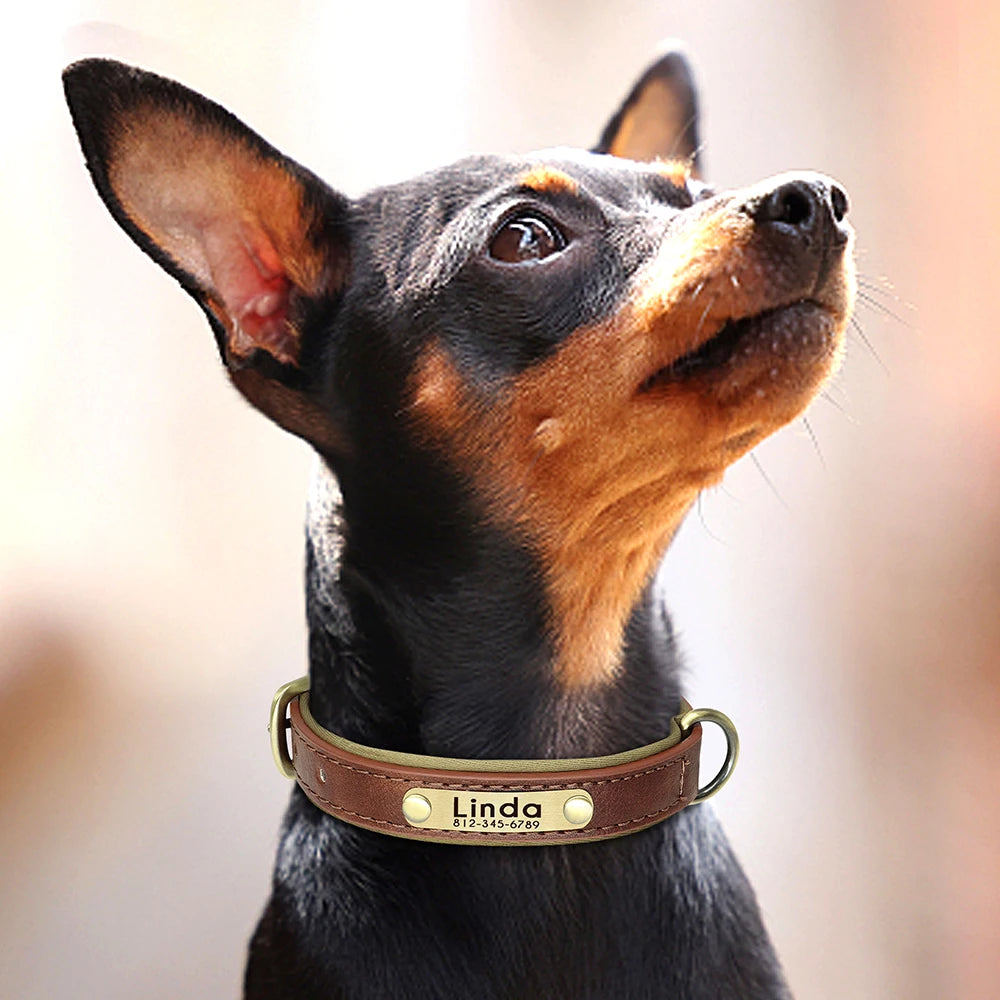 Personalized Dog Collar, Adjustable Padded PU Leather Collar