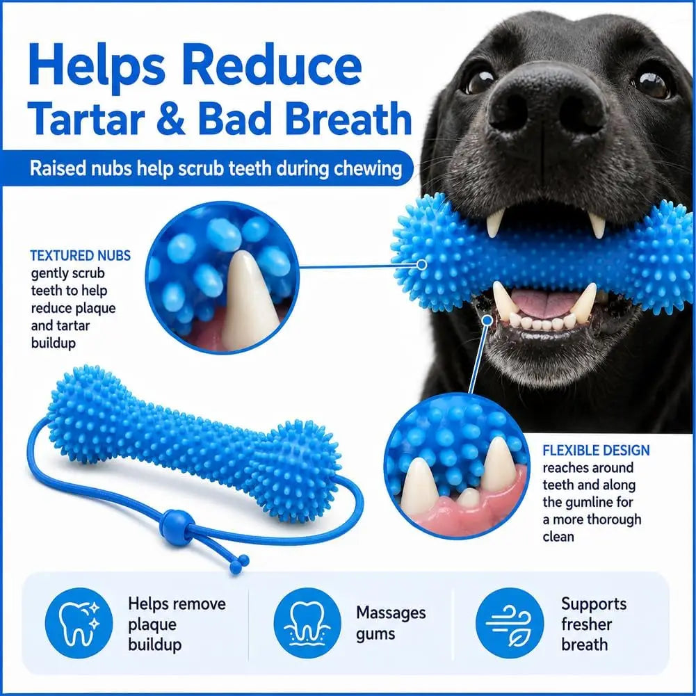 Dog Dental Chew Toy for Teeth Cleaning and Daily Chewing