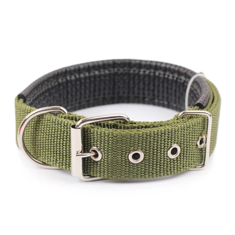 Nylon Dog Collar – Solid Breakaway Collar for All Sizes
