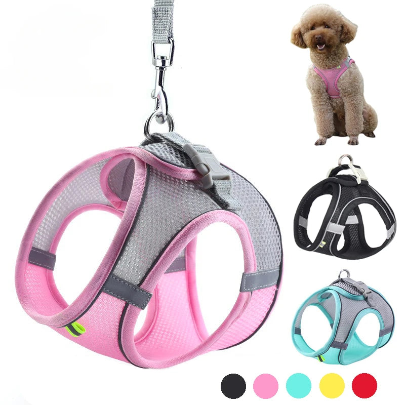 Small Dog Harness – Adjustable Reflective Vest With Leash