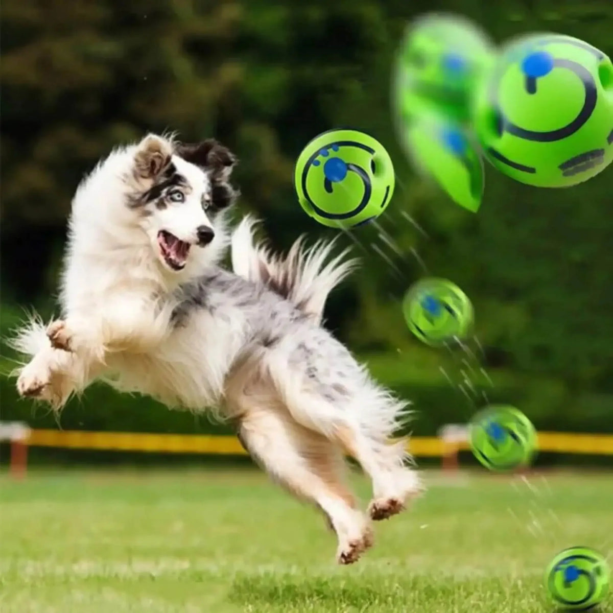 Interactive Dog Ball – Giggle Sound Toy for Training & Play