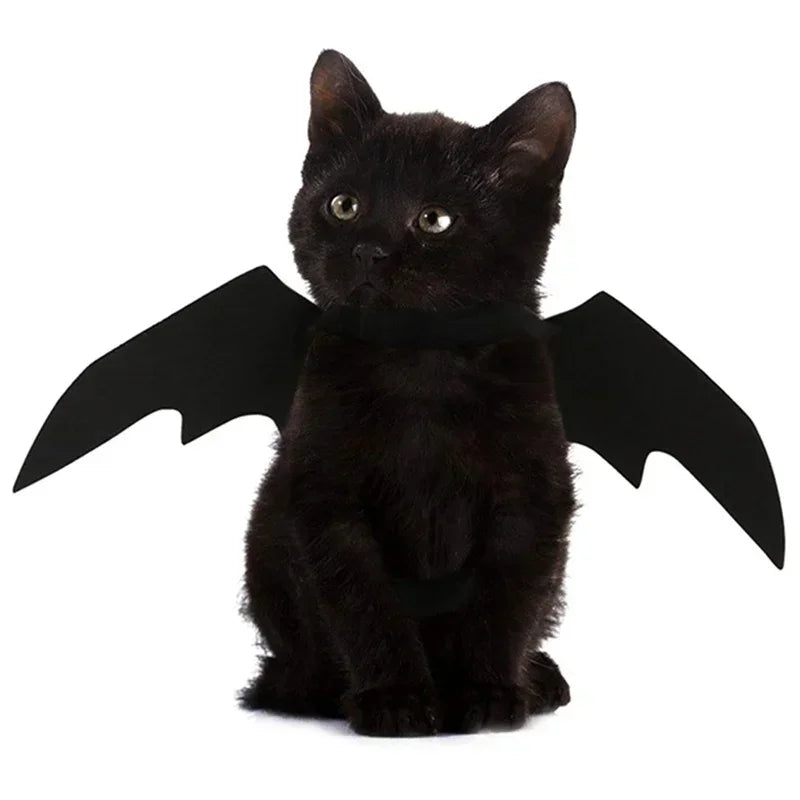 Bat Wing Cat Costume – Black Halloween Pet Cosplay Outfit