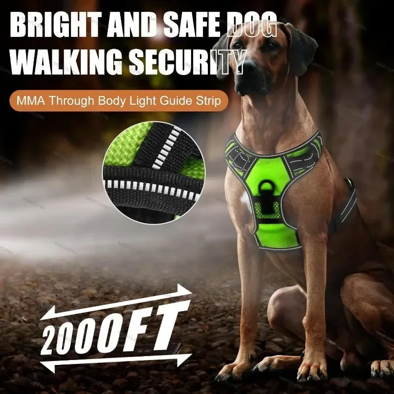 LED Dog Harness, Rechargeable Light Up Vest for Walking