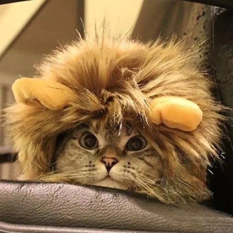 Lion Mane Dog Costume – Washable Pet Costume Wig