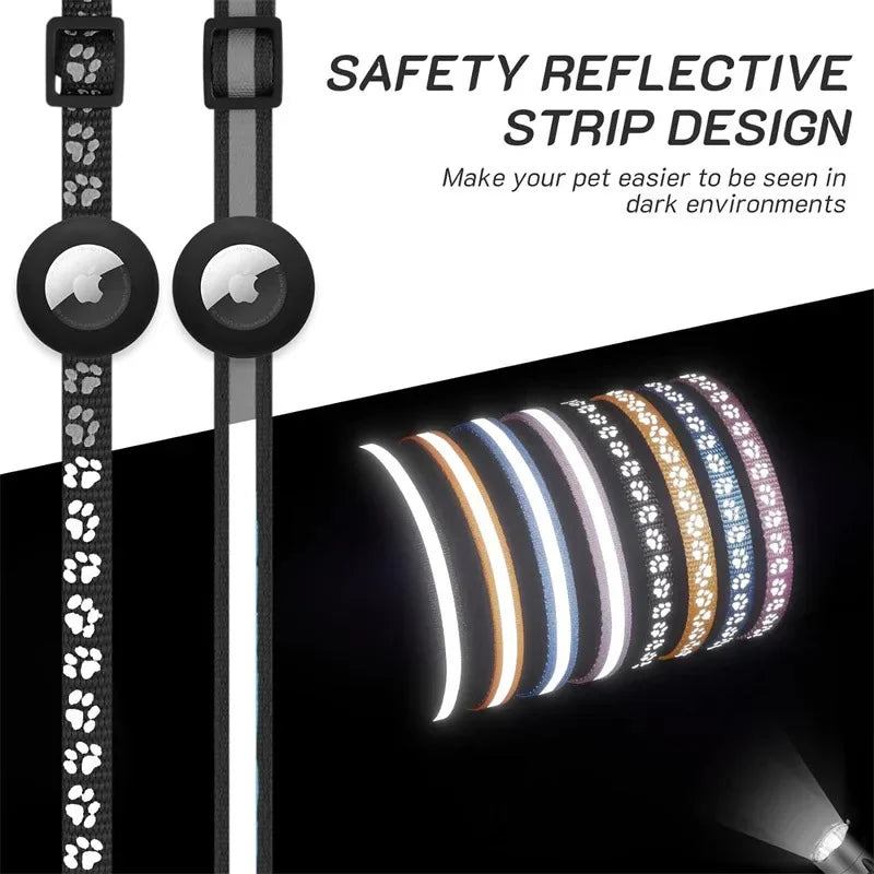 at Collar with AirTag Holder
