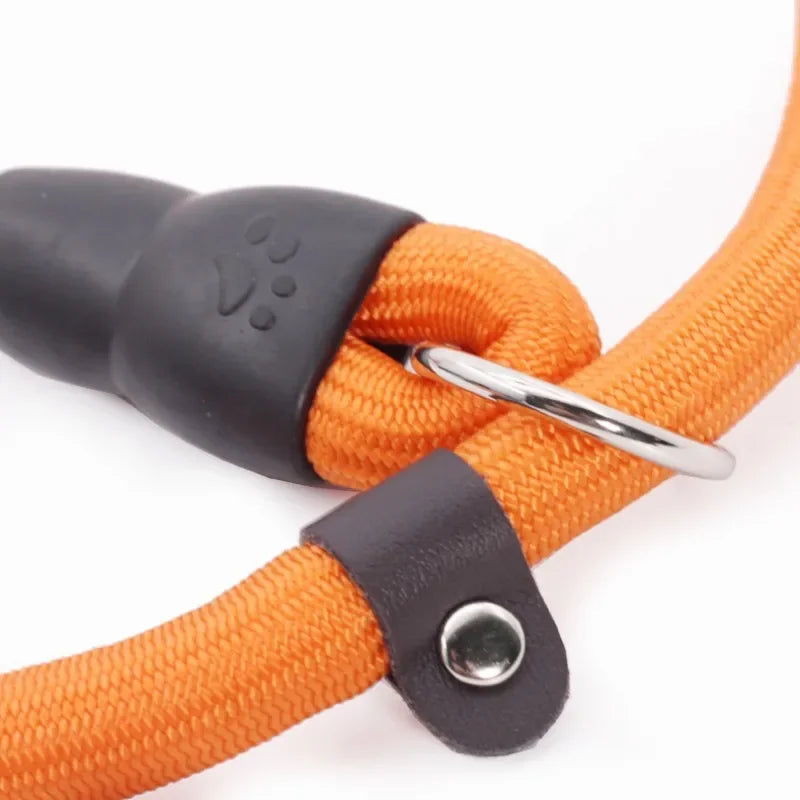 Dog Training Collar – Adjustable Nylon Collar for Walking & Training