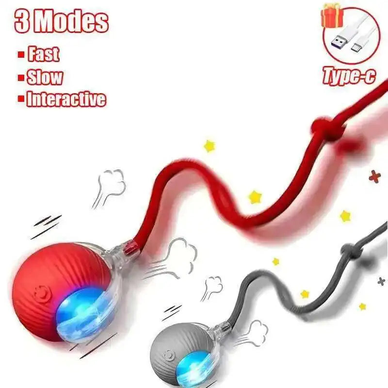 Automatic Dog Ball Toy – Rechargeable Interactive Rolling Ball