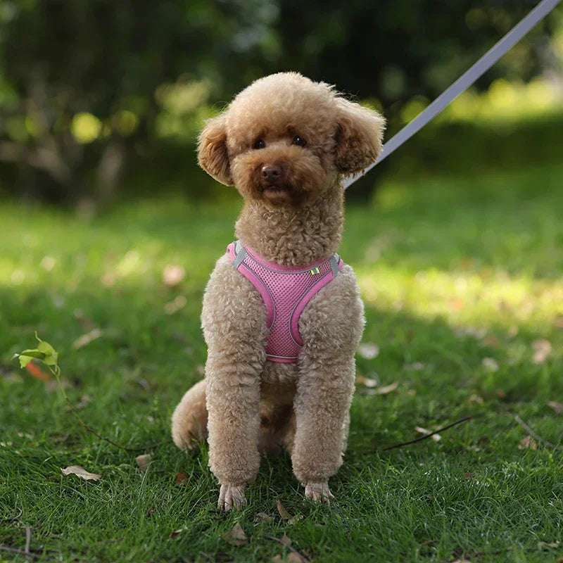 Puppy Harness – Adjustable Reflective Dog