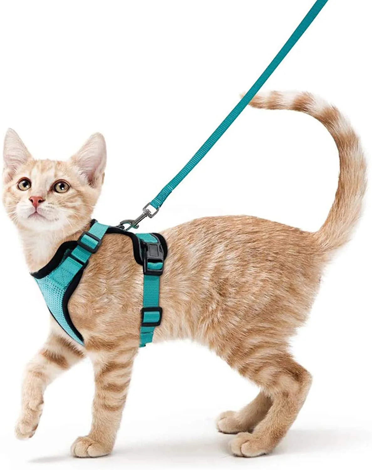 Cat Harness and Leash Set – Adjustable Vest for Walking