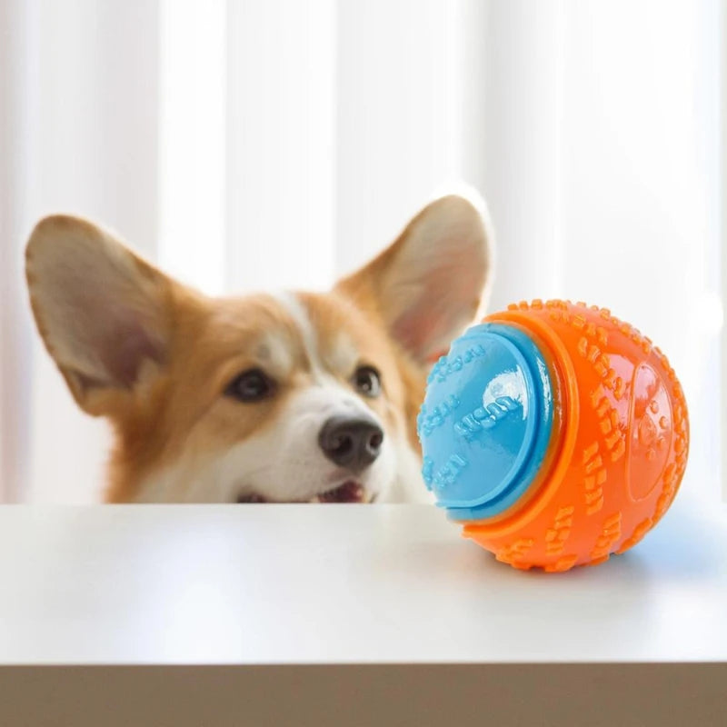 Dog Chew Ball Silicone Squeaky Teeth Cleaning Toy