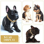 Cuban Link Dog Collar – Diamond Chain with Secure Buckle