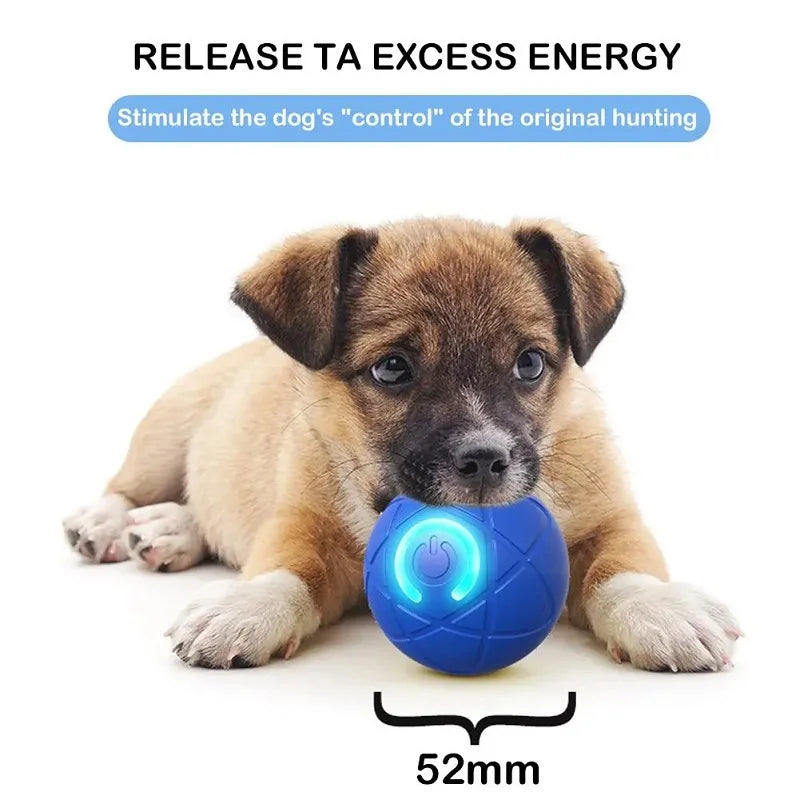 Interactive Dog Ball – Automatic Rolling Rechargeable Toy