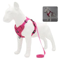 Small Dog Harness and Leash Set – Adjustable Vest