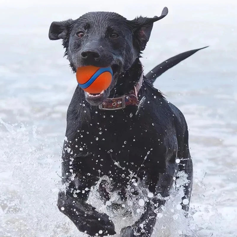 Rubber Dog Ball – Fetch, Chew & Jumping Toy