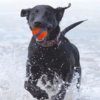 Dog Fetch Ball, Rubber Chew & Bouncing Toy for Dogs