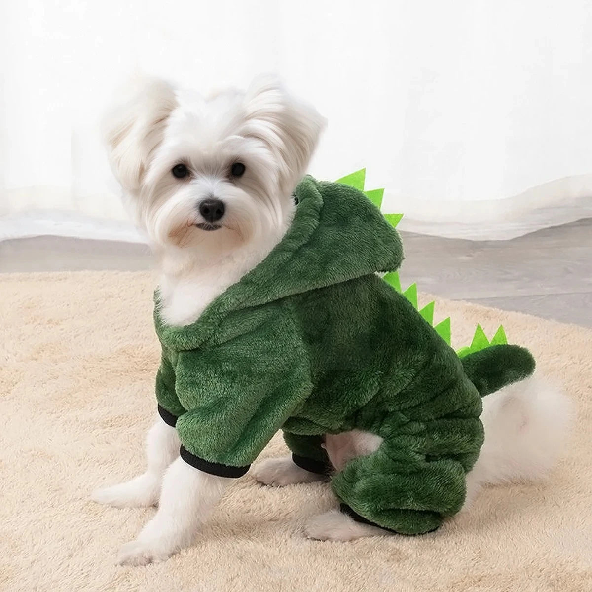 Halloween Dog Costume