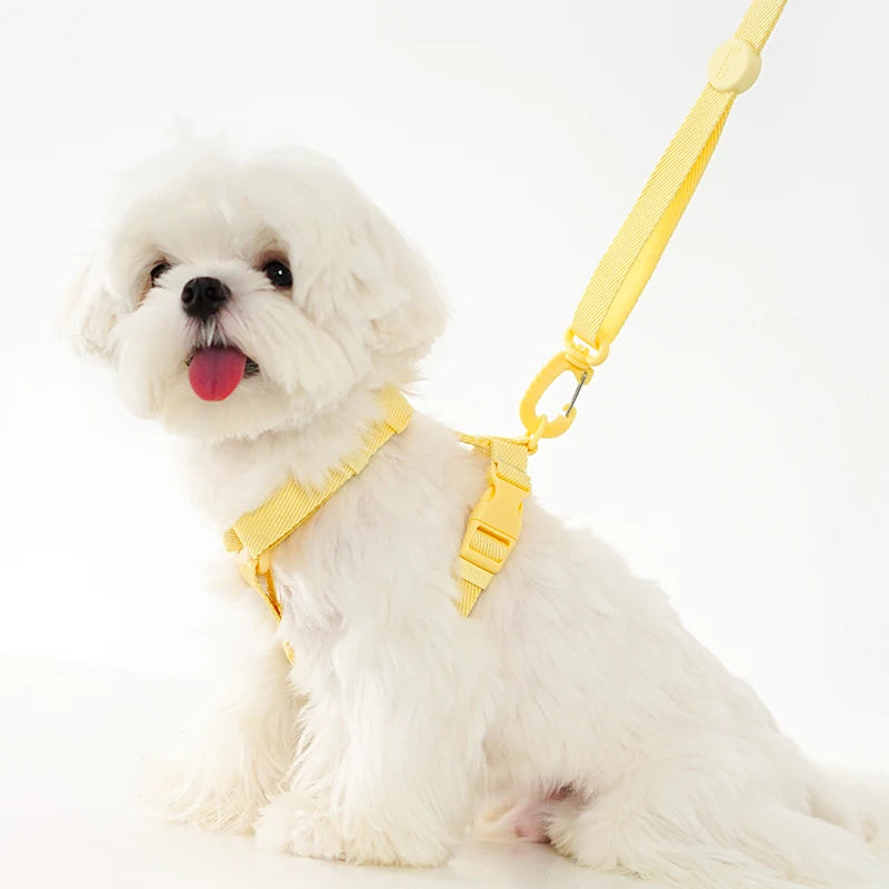Dog Harness and Leash Set