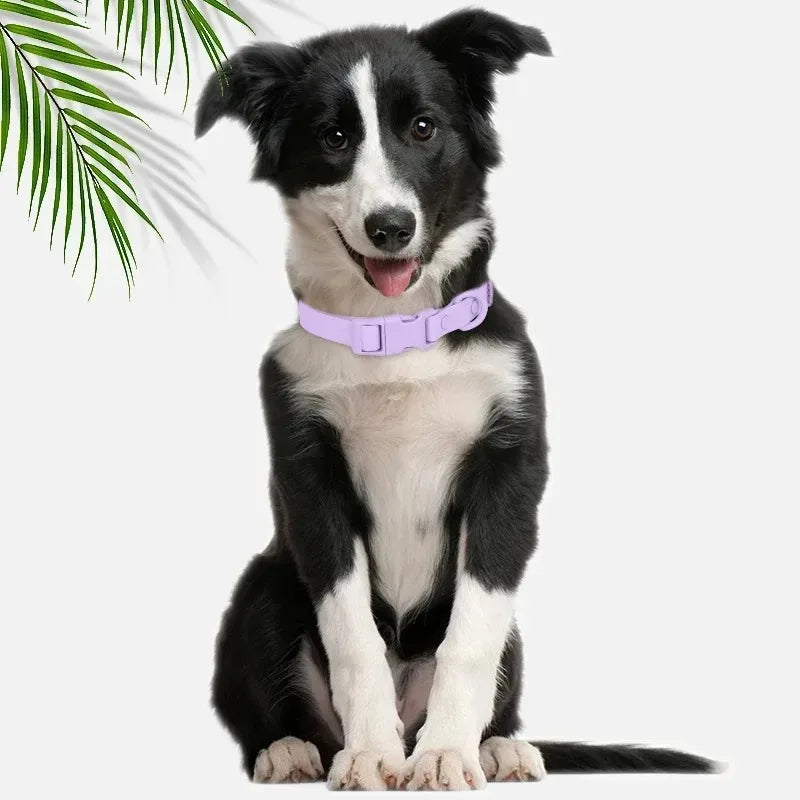 PVC Dog Collar Waterproof Adjustable Breakaway Easy Clean