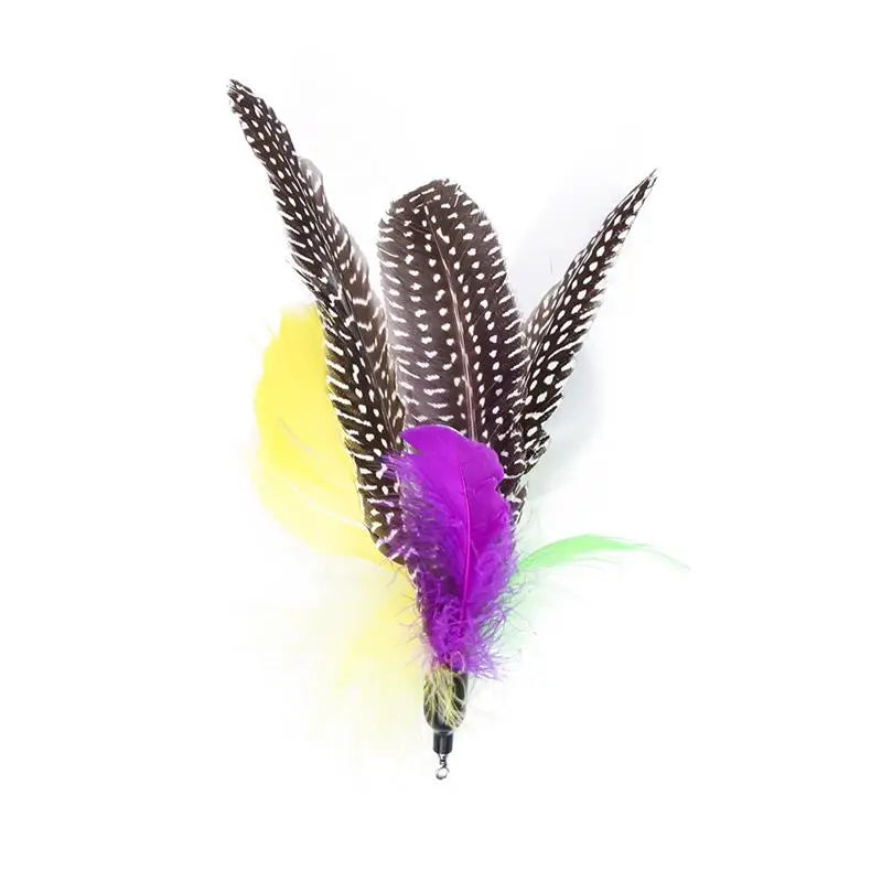 Cat Feather Wand Toy – 11 Piece Retractable Teaser Set