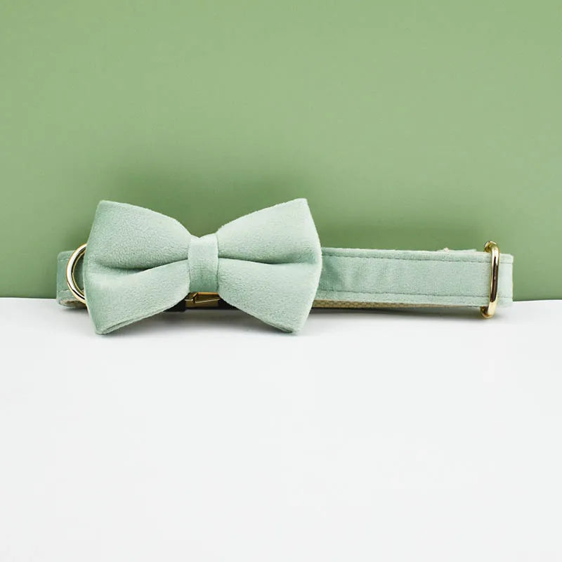 Dog Collar and Leash Set, Adjustable Velvet Collar with Gold Detail