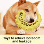Dog Teething Toy, TPR Chew Stick & Treat Dispensing Toy