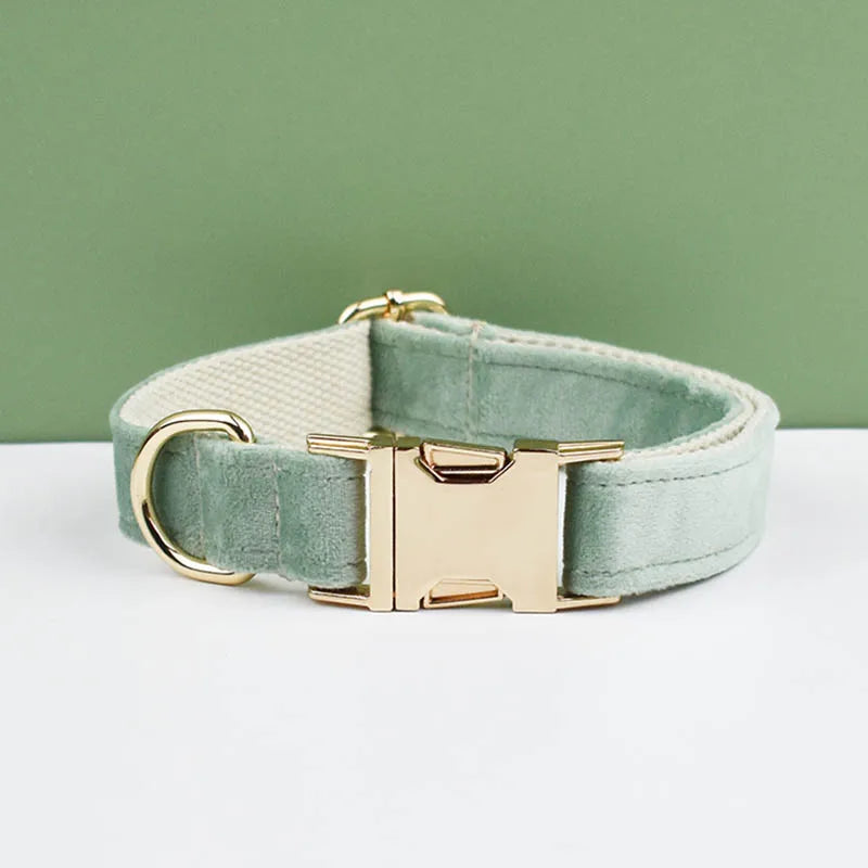 Dog Collar and Leash Set, Adjustable Velvet Collar with Gold Detail
