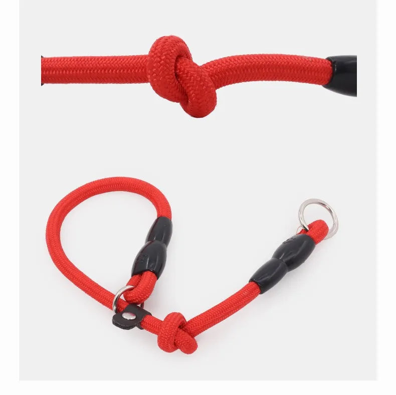 Dog Training Collar – Adjustable Nylon Collar for Walking & Training