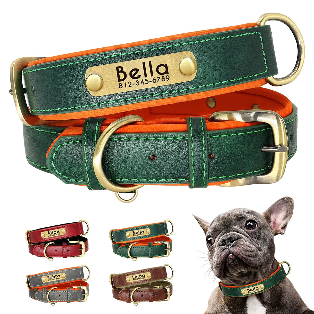 Personalized Dog Collar, Adjustable Padded PU Leather Collar