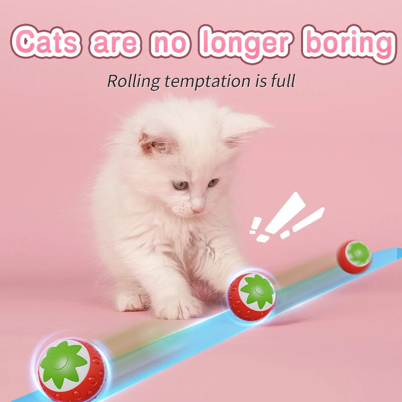 Automatic Interactive Cat Toy Ball – USB Rechargeable Rolling Toy