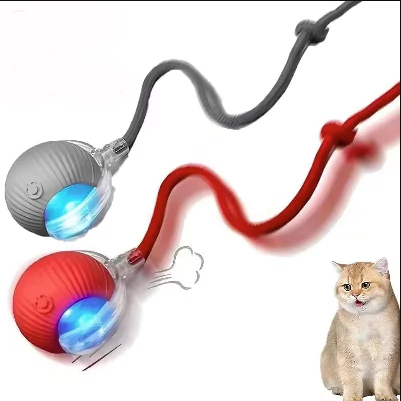 Interactive Cat Ball Toy – Rechargeable Automatic Rolling Toy