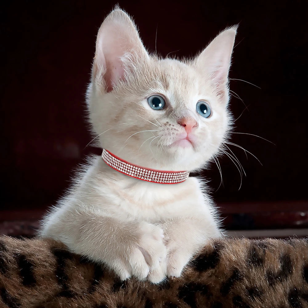 Pink Cat Collar with Rhinestones, Bell & Breakaway Buckle