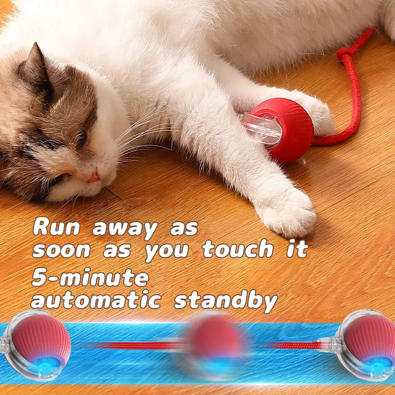 Interactive Cat Ball Toy – Rechargeable Automatic Rolling Toy