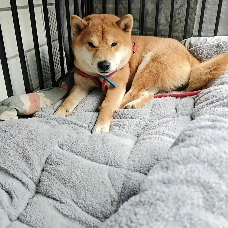 Plush Dog Bed – Oversized Soft Sofa Crate Pad for Cats & Dogs