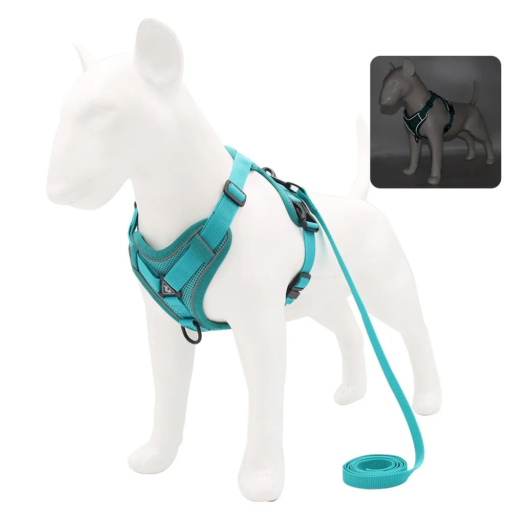Small Dog Harness and Leash Set – Adjustable Vest