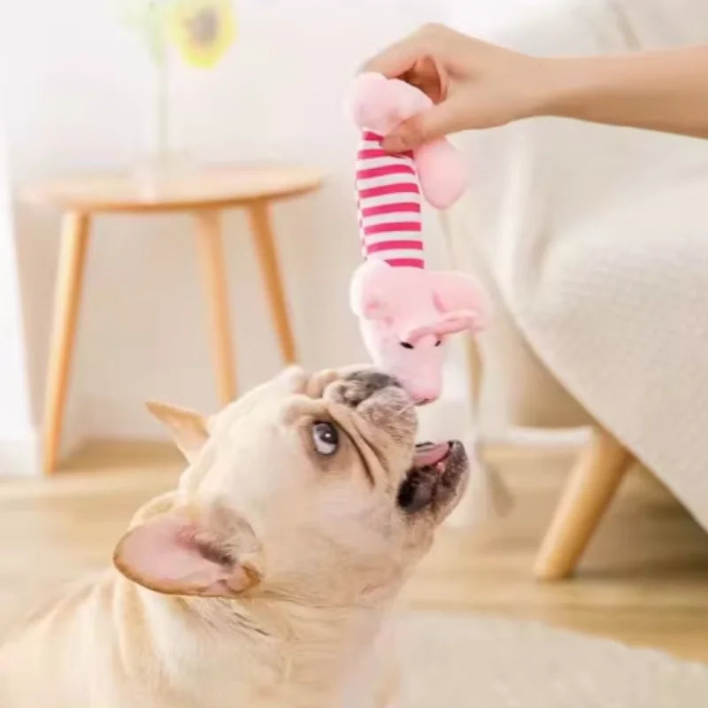 Catnip Cat Toy – Plush Teeth Grinding & Interactive Chew Toy