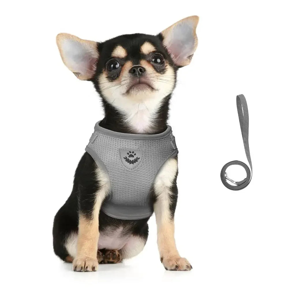 Cat Harness and Leash Set – Adjustable Reflective Mesh Vest