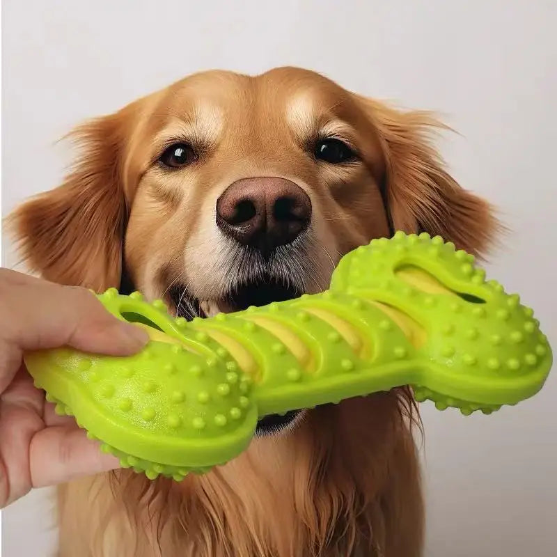 Rubber Dog Bone – Squeaky Chew & Interactive Toy