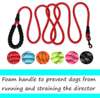 Reflective Dog Leash – Nylon Walking Lead with Quick Release