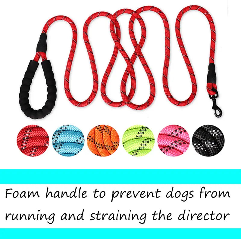 Reflective Dog Leash – Nylon Walking Lead with Quick Release