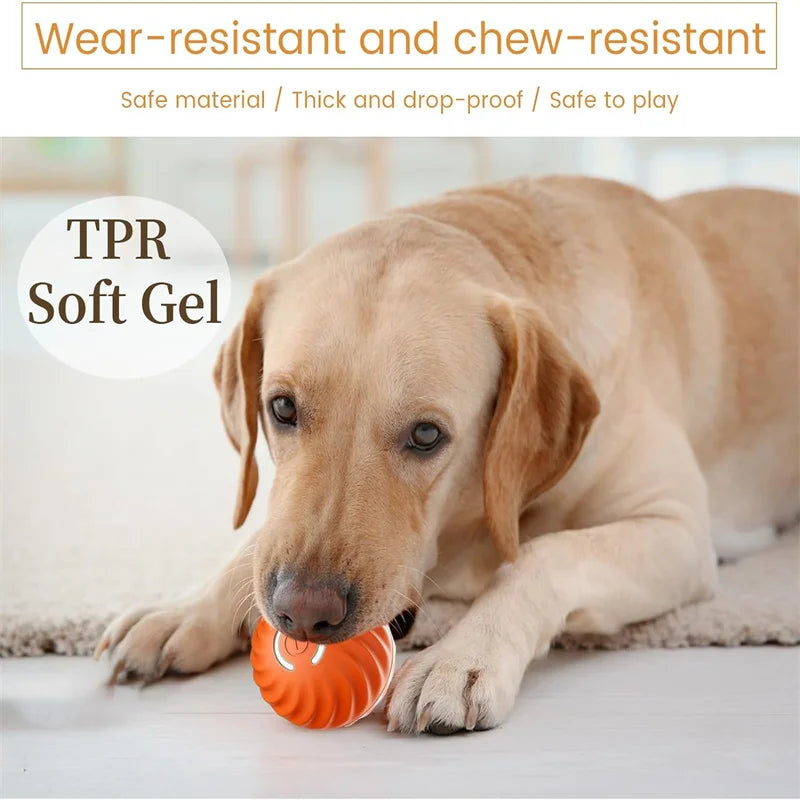 Interactive Dog Ball – USB Rechargeable Automatic Moving Toy