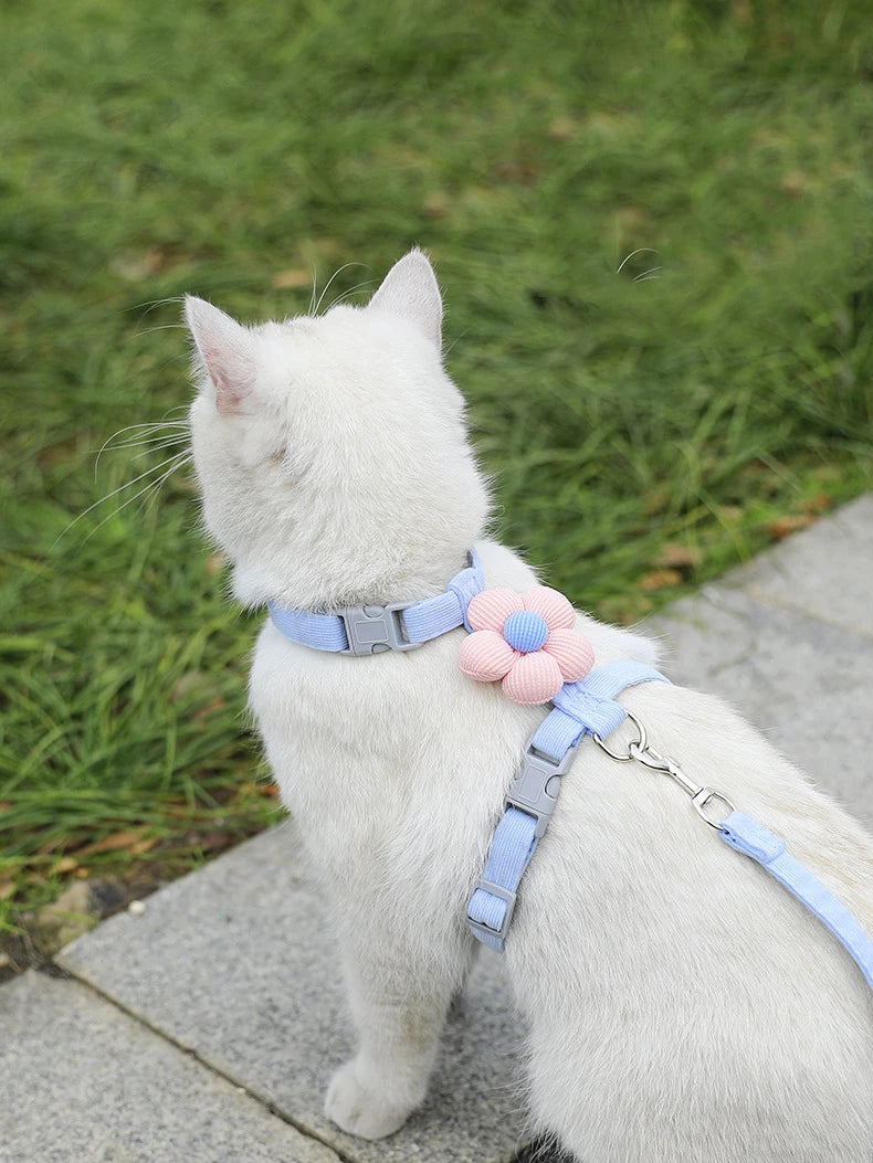 Cat Harness and Leash Set Adjustable Breathable Kitten Harness