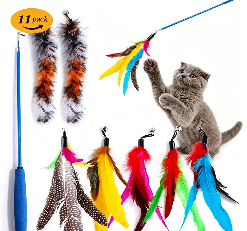 Cat Feather Wand Toy – 11 Piece Retractable Teaser Set
