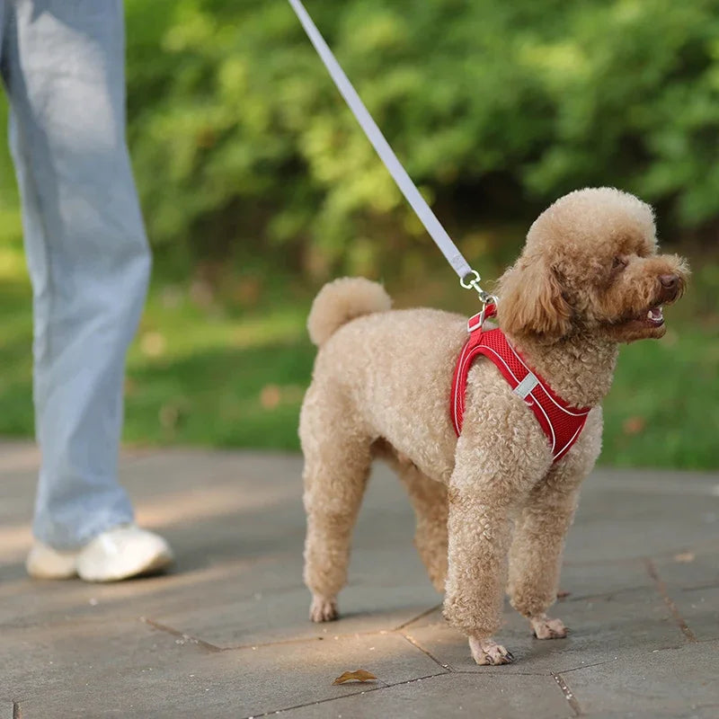 Small Dog Harness – Adjustable Reflective Vest With Leash